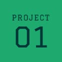 PROJECT 01